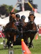 Image 3 in SCURRY DRIVING. ROYAL NORFOLK SHOW  2015