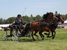 Image 4 in SCURRY DRIVING. ROYAL NORFOLK SHOW  2015