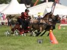 Image 6 in SCURRY DRIVING. ROYAL NORFOLK SHOW  2015