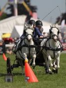 Image 7 in SCURRY DRIVING. ROYAL NORFOLK SHOW  2015