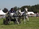 Image 8 in SCURRY DRIVING. ROYAL NORFOLK SHOW  2015