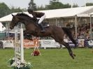 Image 10 in OPEN RESTRICTED 2 PHASE SHOW JUMPING INCORPORATING MAUREEN HOLDEN-- MR VEE MEMORIAL PERPETUAL CUP..ROYAL NORFOLK SHOW 2015