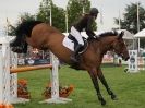 Image 12 in OPEN RESTRICTED 2 PHASE SHOW JUMPING INCORPORATING MAUREEN HOLDEN-- MR VEE MEMORIAL PERPETUAL CUP..ROYAL NORFOLK SHOW 2015