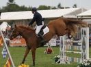 Image 13 in OPEN RESTRICTED 2 PHASE SHOW JUMPING INCORPORATING MAUREEN HOLDEN-- MR VEE MEMORIAL PERPETUAL CUP..ROYAL NORFOLK SHOW 2015