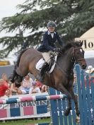 Image 16 in OPEN RESTRICTED 2 PHASE SHOW JUMPING INCORPORATING MAUREEN HOLDEN-- MR VEE MEMORIAL PERPETUAL CUP..ROYAL NORFOLK SHOW 2015