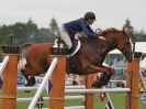 Image 22 in OPEN RESTRICTED 2 PHASE SHOW JUMPING INCORPORATING MAUREEN HOLDEN-- MR VEE MEMORIAL PERPETUAL CUP..ROYAL NORFOLK SHOW 2015