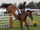 Image 23 in OPEN RESTRICTED 2 PHASE SHOW JUMPING INCORPORATING MAUREEN HOLDEN-- MR VEE MEMORIAL PERPETUAL CUP..ROYAL NORFOLK SHOW 2015