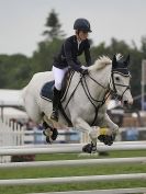 Image 26 in OPEN RESTRICTED 2 PHASE SHOW JUMPING INCORPORATING MAUREEN HOLDEN-- MR VEE MEMORIAL PERPETUAL CUP..ROYAL NORFOLK SHOW 2015