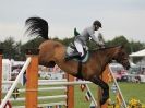 Image 28 in OPEN RESTRICTED 2 PHASE SHOW JUMPING INCORPORATING MAUREEN HOLDEN-- MR VEE MEMORIAL PERPETUAL CUP..ROYAL NORFOLK SHOW 2015