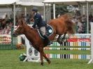 Image 31 in OPEN RESTRICTED 2 PHASE SHOW JUMPING INCORPORATING MAUREEN HOLDEN-- MR VEE MEMORIAL PERPETUAL CUP..ROYAL NORFOLK SHOW 2015