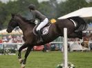 Image 34 in OPEN RESTRICTED 2 PHASE SHOW JUMPING INCORPORATING MAUREEN HOLDEN-- MR VEE MEMORIAL PERPETUAL CUP..ROYAL NORFOLK SHOW 2015