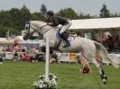 Image 39 in OPEN RESTRICTED 2 PHASE SHOW JUMPING INCORPORATING MAUREEN HOLDEN-- MR VEE MEMORIAL PERPETUAL CUP..ROYAL NORFOLK SHOW 2015