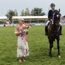 Image 4 in OPEN RESTRICTED 2 PHASE SHOW JUMPING INCORPORATING MAUREEN HOLDEN-- MR VEE MEMORIAL PERPETUAL CUP..ROYAL NORFOLK SHOW 2015