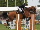 Image 40 in OPEN RESTRICTED 2 PHASE SHOW JUMPING INCORPORATING MAUREEN HOLDEN-- MR VEE MEMORIAL PERPETUAL CUP..ROYAL NORFOLK SHOW 2015