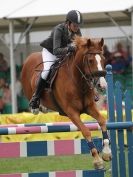 Image 43 in OPEN RESTRICTED 2 PHASE SHOW JUMPING INCORPORATING MAUREEN HOLDEN-- MR VEE MEMORIAL PERPETUAL CUP..ROYAL NORFOLK SHOW 2015