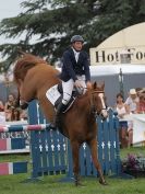 Image 47 in OPEN RESTRICTED 2 PHASE SHOW JUMPING INCORPORATING MAUREEN HOLDEN-- MR VEE MEMORIAL PERPETUAL CUP..ROYAL NORFOLK SHOW 2015