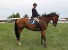 Image 7 in OPEN RESTRICTED 2 PHASE SHOW JUMPING INCORPORATING MAUREEN HOLDEN-- MR VEE MEMORIAL PERPETUAL CUP..ROYAL NORFOLK SHOW 2015