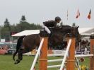 Image 9 in OPEN RESTRICTED 2 PHASE SHOW JUMPING INCORPORATING MAUREEN HOLDEN-- MR VEE MEMORIAL PERPETUAL CUP..ROYAL NORFOLK SHOW 2015