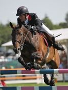 Image 11 in A and B COMPETITION. SHOW JUMPING. ROYAL NORFOLK SHOW.