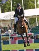 Image 13 in A and B COMPETITION. SHOW JUMPING. ROYAL NORFOLK SHOW.