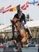 Image 14 in A and B COMPETITION. SHOW JUMPING. ROYAL NORFOLK SHOW.