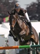 Image 17 in A and B COMPETITION. SHOW JUMPING. ROYAL NORFOLK SHOW.