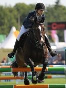 Image 19 in A and B COMPETITION. SHOW JUMPING. ROYAL NORFOLK SHOW.