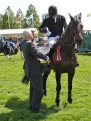 Image 2 in A and B COMPETITION. SHOW JUMPING. ROYAL NORFOLK SHOW.