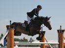 Image 21 in A and B COMPETITION. SHOW JUMPING. ROYAL NORFOLK SHOW.