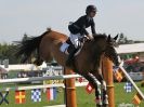 Image 22 in A and B COMPETITION. SHOW JUMPING. ROYAL NORFOLK SHOW.