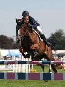 Image 27 in A and B COMPETITION. SHOW JUMPING. ROYAL NORFOLK SHOW.