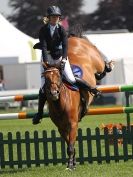 Image 28 in A and B COMPETITION. SHOW JUMPING. ROYAL NORFOLK SHOW.