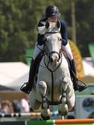 Image 30 in A and B COMPETITION. SHOW JUMPING. ROYAL NORFOLK SHOW.