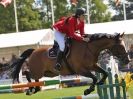 Image 31 in A and B COMPETITION. SHOW JUMPING. ROYAL NORFOLK SHOW.