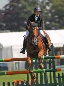 Image 32 in A and B COMPETITION. SHOW JUMPING. ROYAL NORFOLK SHOW.