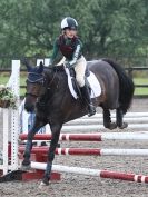 Image 10 in NSEA. SHOW JUMPING. CLASS 1. OVERA FARM STUD. JULY 2015