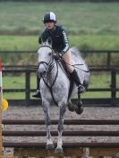 Image 15 in NSEA. SHOW JUMPING. CLASS 1. OVERA FARM STUD. JULY 2015