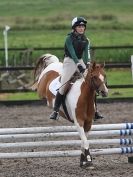 Image 38 in NSEA. SHOW JUMPING. CLASS 1. OVERA FARM STUD. JULY 2015