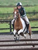 Image 42 in NSEA. SHOW JUMPING. CLASS 1. OVERA FARM STUD. JULY 2015