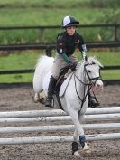 Image 44 in NSEA. SHOW JUMPING. CLASS 1. OVERA FARM STUD. JULY 2015