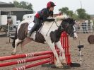 Image 13 in NSEA. SHOW JUMPING. CLASS 2. OVERA FARM STUD. JULY 2015