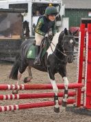 Image 8 in NSEA. SHOW JUMPING. CLASS 2. OVERA FARM STUD. JULY 2015