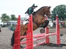 Image 10 in NSEA. SHOW JUMPING. CLASS 3. OVERA FARM STUD. JULY 2015