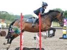 Image 38 in NSEA. SHOW JUMPING. CLASS 3. OVERA FARM STUD. JULY 2015