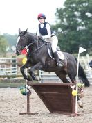 Image 47 in NSEA. SHOW JUMPING. CLASS 3. OVERA FARM STUD. JULY 2015