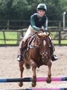 Image 51 in NSEA. SHOW JUMPING. CLASS 3. OVERA FARM STUD. JULY 2015