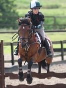 Image 62 in NSEA. SHOW JUMPING. CLASS 3. OVERA FARM STUD. JULY 2015