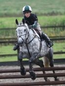 Image 9 in NSEA. SHOW JUMPING. CLASS 3. OVERA FARM STUD. JULY 2015