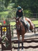 Image 10 in NSEA. SHOW JUMPING. CLASS 4. OVERA FARM STUD. JULY 2015