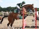 Image 14 in NSEA. SHOW JUMPING. CLASS 4. OVERA FARM STUD. JULY 2015